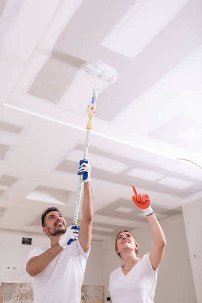 Best Mold Remediation for Rental Properties  in Ste Genevieve, MO