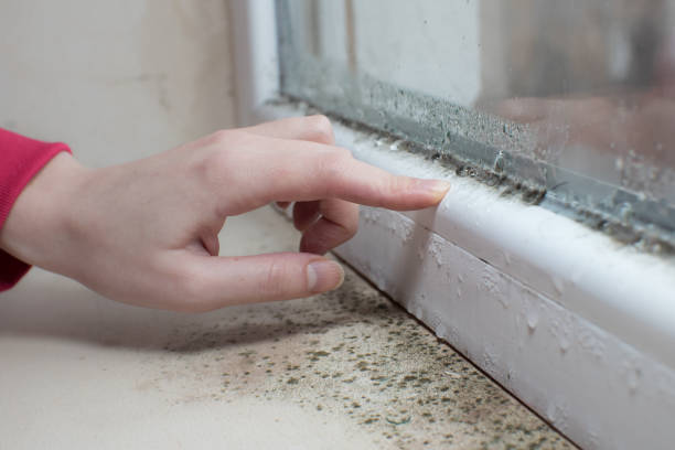 Best Indoor Air Quality Assessment  in Ste Genevieve, MO